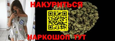 spice Кингисепп