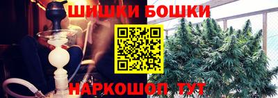 шишки Дубна