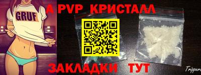 шишки Дубна