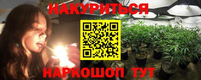 шишки Дубна