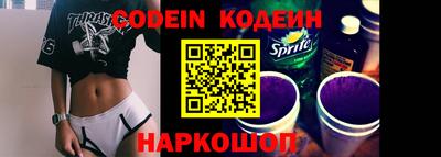 шишки Дубна