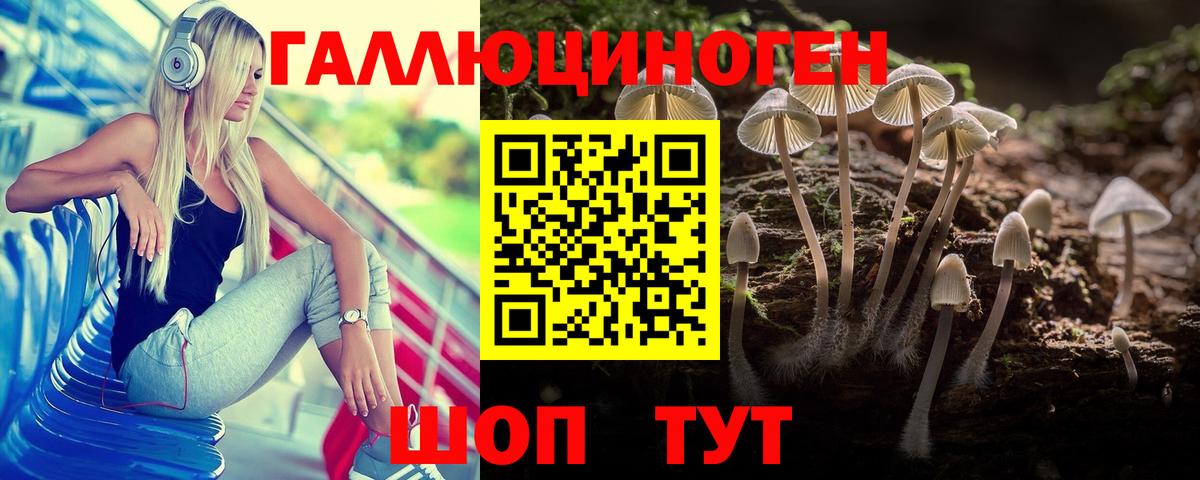 Тельмана  Псилоцибиновые грибы Psilocybe  Вход с VPN  Галлюциногенные грибы Psilocybine cubensis 