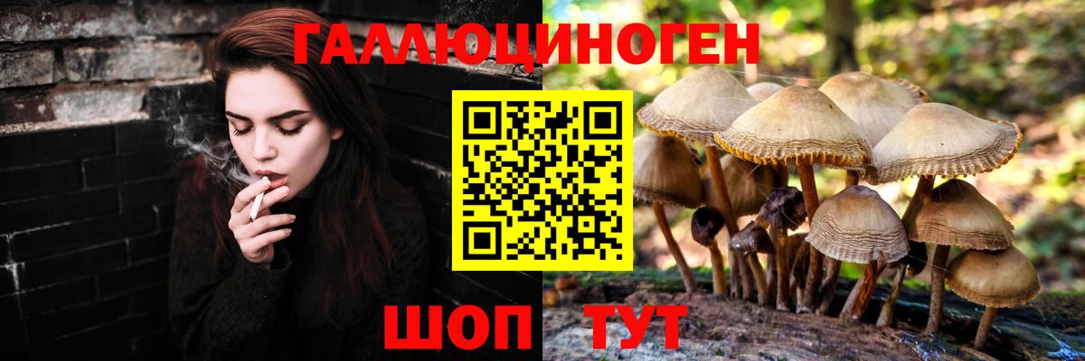 Галлюциногенные грибы MAGIC MUSHROOMS Тельмана